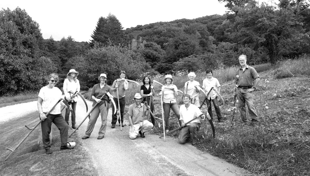 Moor Meadows volunteers with scythes