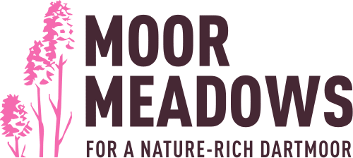 Moor Meadows logo