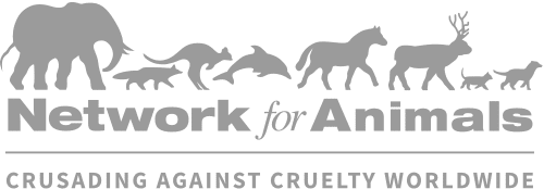 Network for Animals
